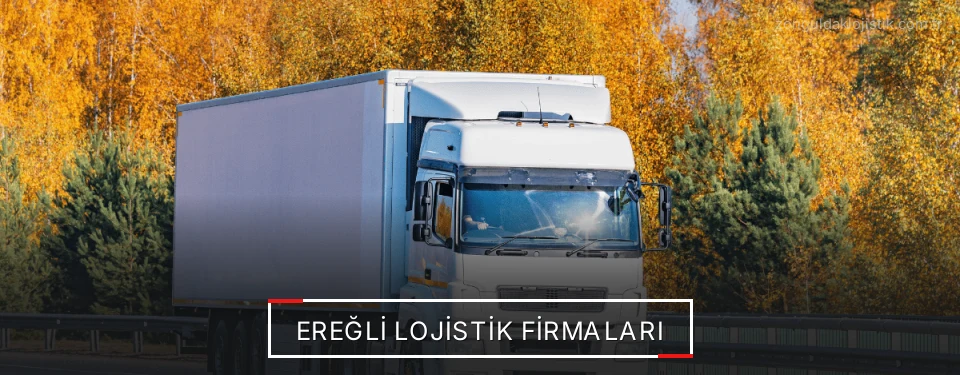 Ereğli Lojistik Taşımacılık