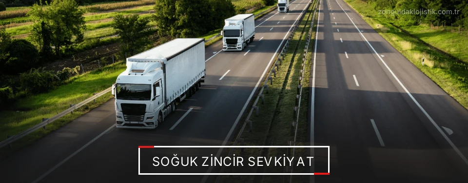 Zonguldak Frigo Taşımacılık Firmaları